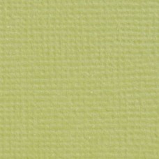 Štruktúrovaný papier Tonic studios Craft perfect Pistachion green
